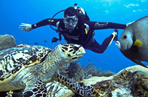 adventurous travel diving