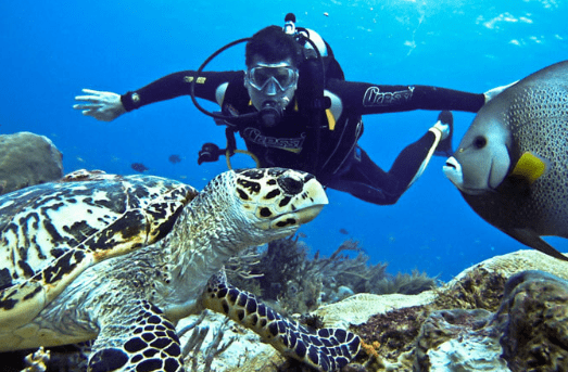 Scuba Diving in Pondicherry