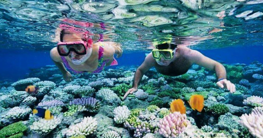 Snorkeling at Havelock Island of Andaman Nicobar Islands