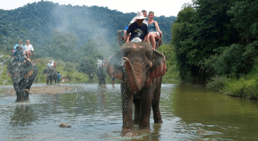 Andaman Nicobar Islands Wildlife Safari