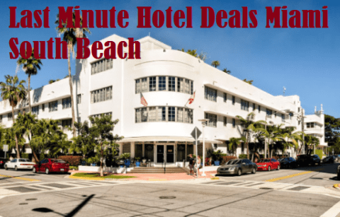 last minute hotel deals miami south beach